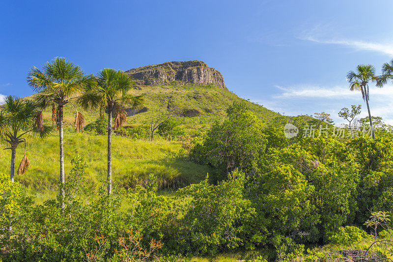 Chapada dos Veadeiros山